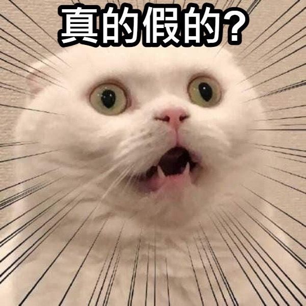 [新聞] 蔣萬安PK沈伯洋支持誰當台北市長？最新投 - 八卦 - PTT.BEST 批踢踢爆文 2