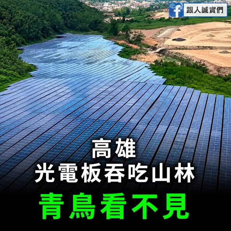 [新聞] 沈伯洋批北市「齊頭式砍樹」！公園處怒駁：自曝不懂市政 - 八卦 - PTT.BEST 批踢踢爆文 2