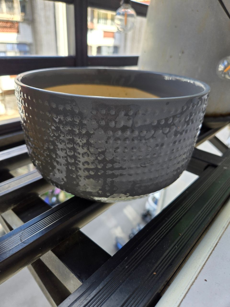 贈送 花盆 贈送 花盆