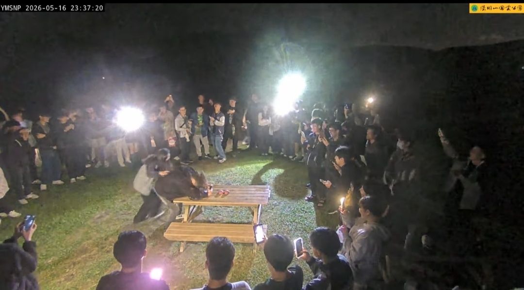 [問卦]國際擎天崗野炮生活節 live聊天台 來了～ - 八卦 - PTT.BEST 批踢踢爆文 3