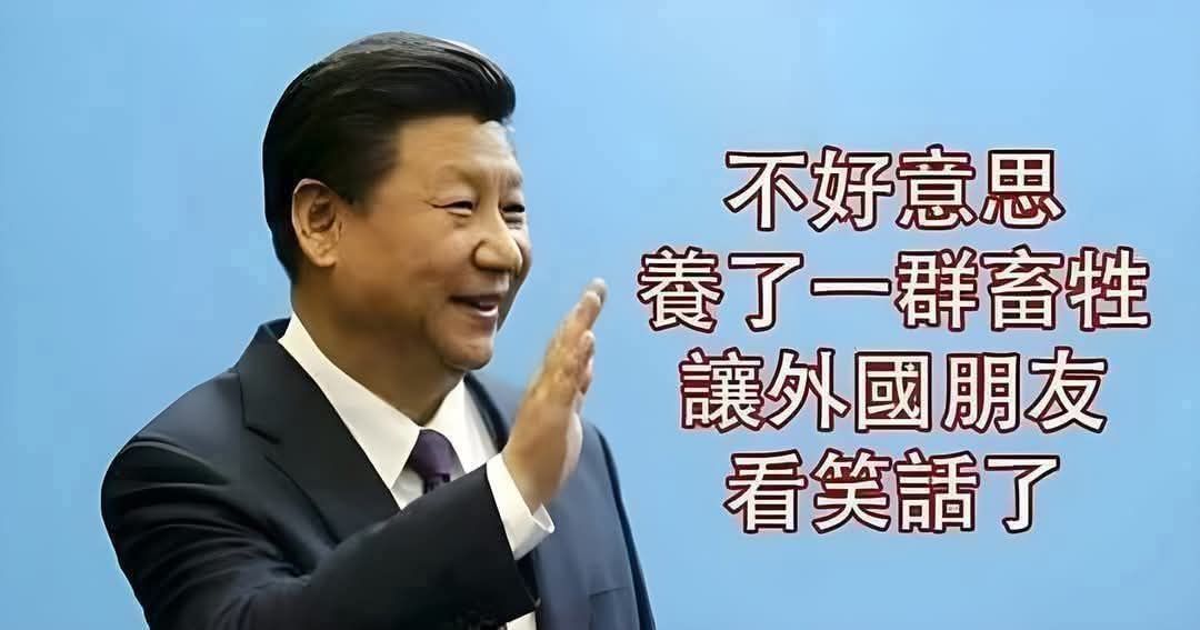 [討論] 林子宇:李貞秀案民進黨被廻力鏢打腫臉 - 政黑 - PTT.BEST 批踢踢爆文 3