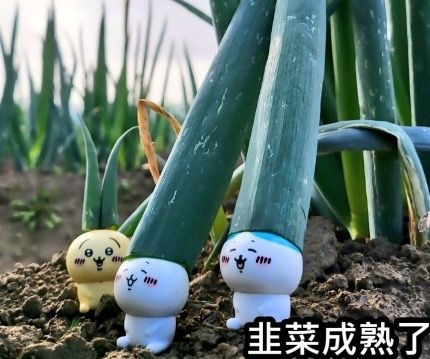 [問卦] 記者：你是跟最高領袖談的？ 川普：不是 - 八卦 - PTT.BEST 批踢踢爆文 3