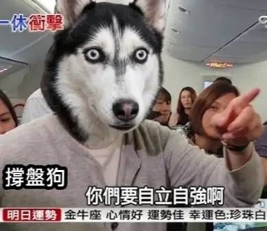 [情報] 外資買超歷史前十名 (今天第七名) - 股票 - PTT.BEST 批踢踢爆文 2