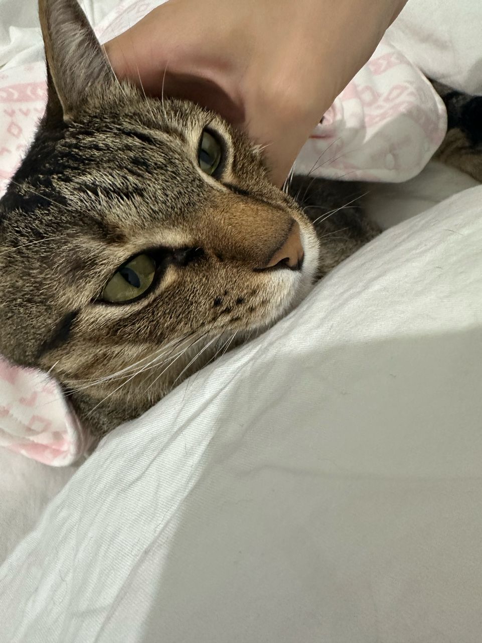 [問卦] 我們贏韓國 發錢 - 八卦 - PTT.BEST 批踢踢爆文