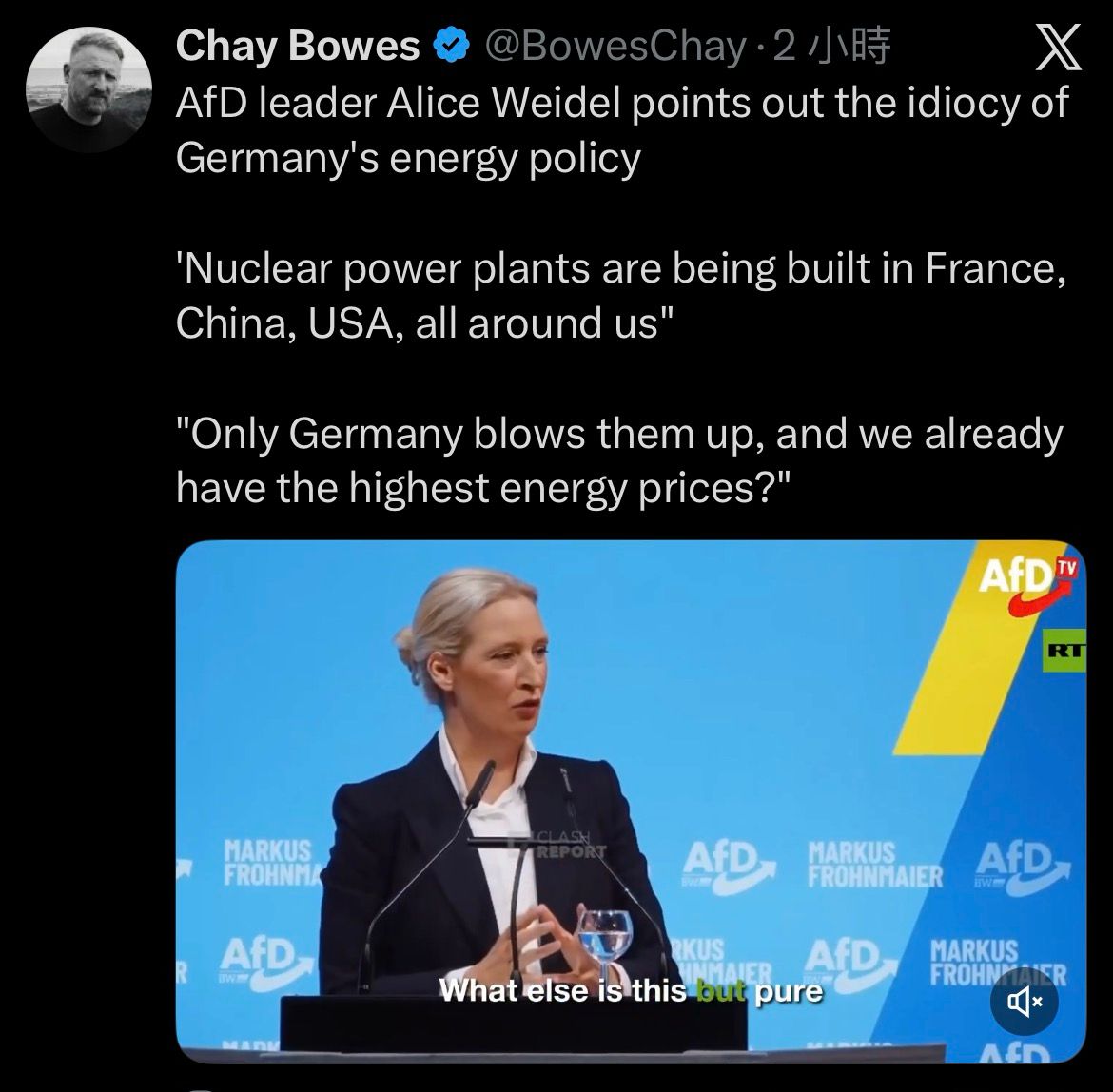 [問卦] 德國選擇黨：愚蠢的我們毀了核電 - 八卦 - PTT.BEST 批踢踢爆文