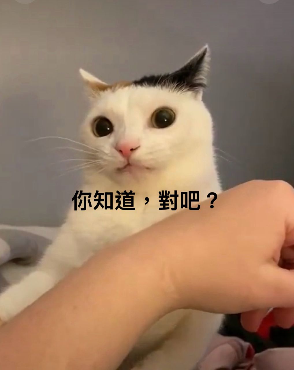 Re: [心得] 正二動態槓桿簡易檢查表 - 股票 - PTT.BEST 批踢踢爆文 3
