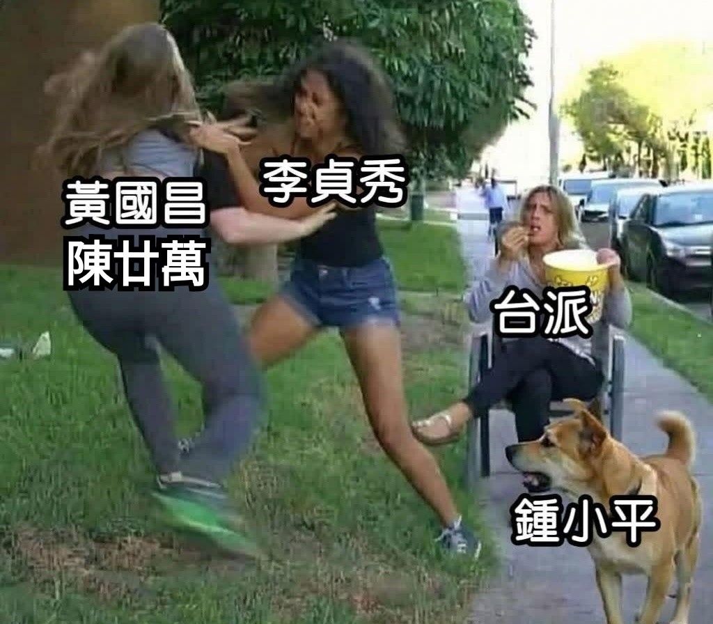 [討論] 李貞秀：今天是民進黨毀憲亂政 - 政黑 - PTT.BEST 批踢踢爆文