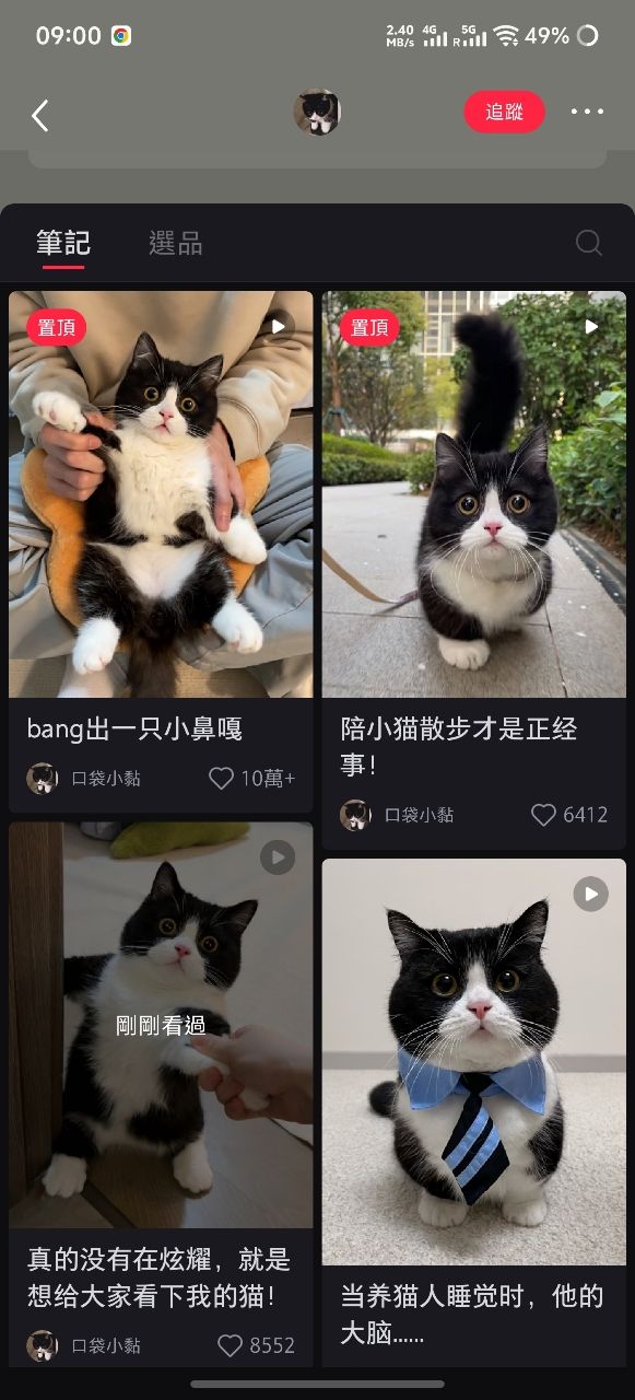 [問卦] 小紅書剛才下載，全台必裝App!