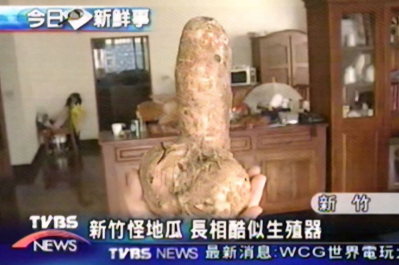 [閒聊] 接手朋友的地瓜or買全新末代CX5 - 汽車 - PTT.BEST 批踢踢爆文