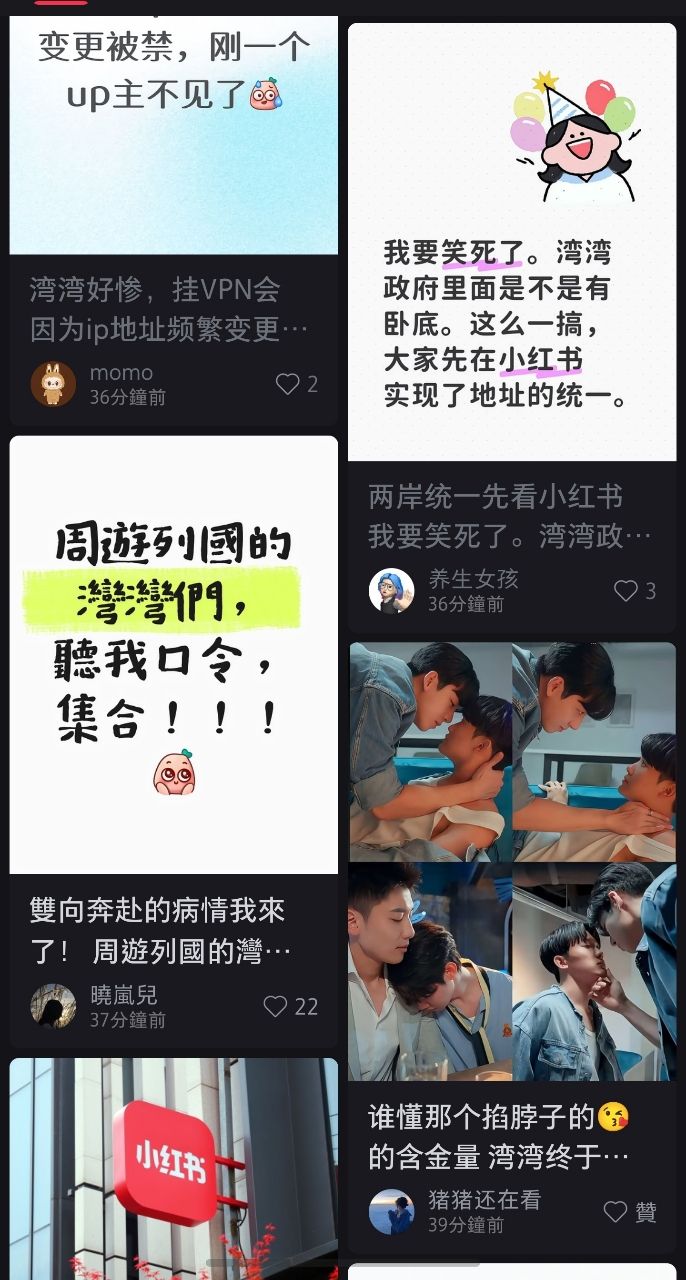 Re: [新聞] 小紅書封鎖台網哀號一片 中媒報陸網反應