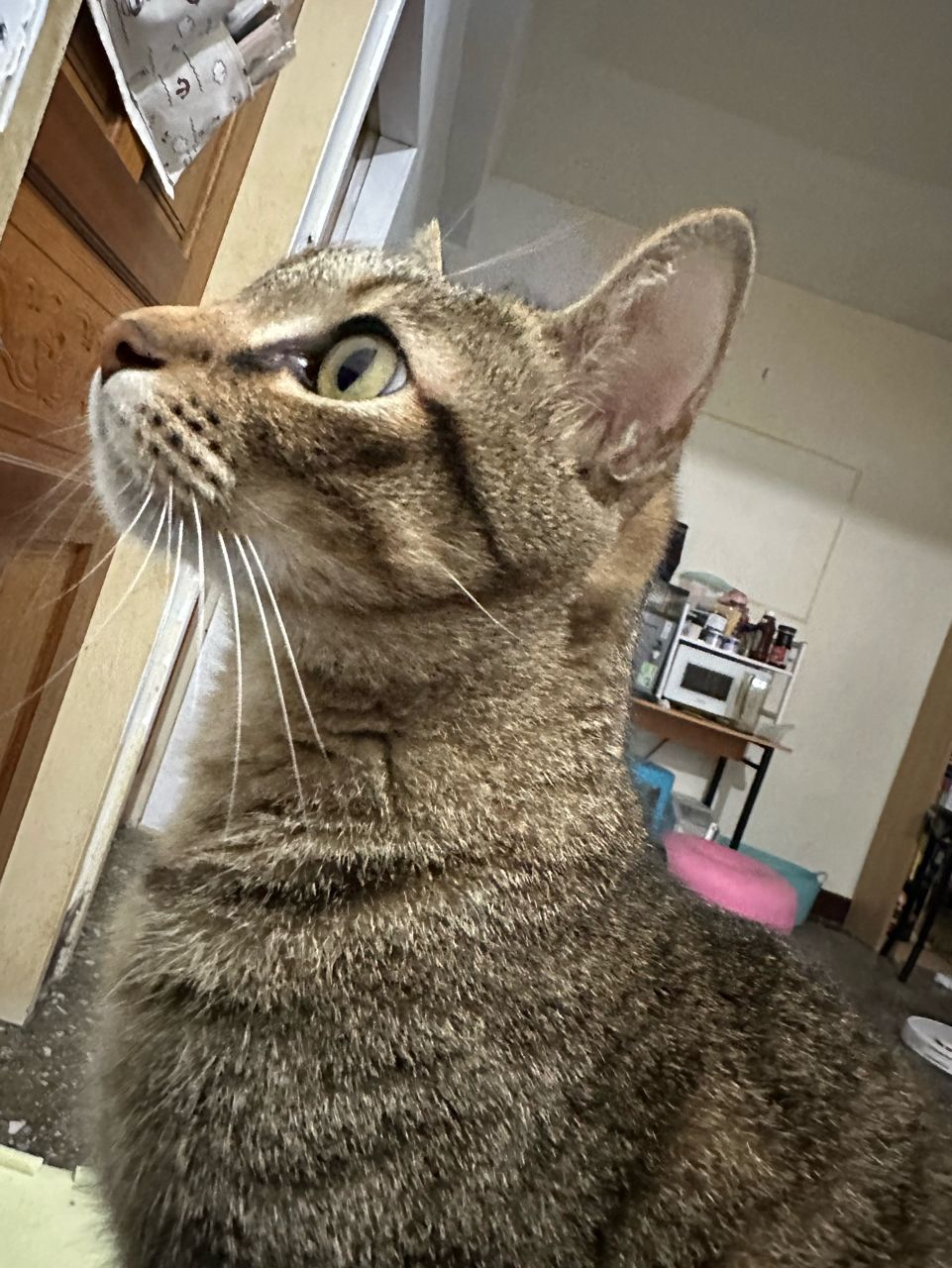 [問卦] 中華台北贏捷克（發錢） - 八卦 - PTT.BEST 批踢踢爆文