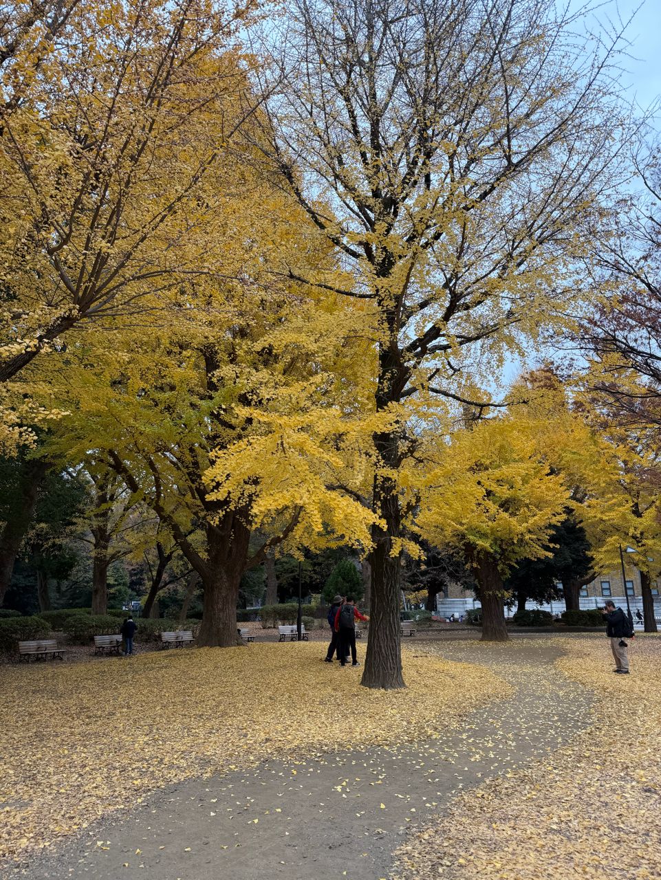 [問卦]台灣有有超越上野公園的公園嗎？