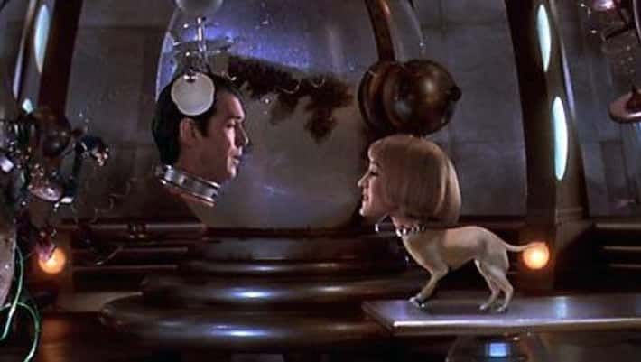 [閒聊] 哪部人面犬你印象最深刻 - 希洽 - PTT.BEST 批踢踢爆文