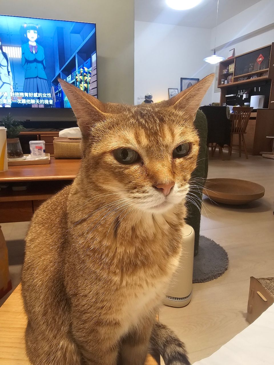 [問卦] PTT詐騙多 是不是該禁止PTT了