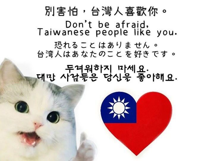圖 你好我是台灣人 台灣人喜歡你!
