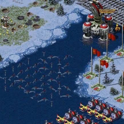 [問卦] 伊朗欲使用自爆海豚攻擊美軍艦！ - 八卦 - PTT.BEST 批踢踢爆文 3