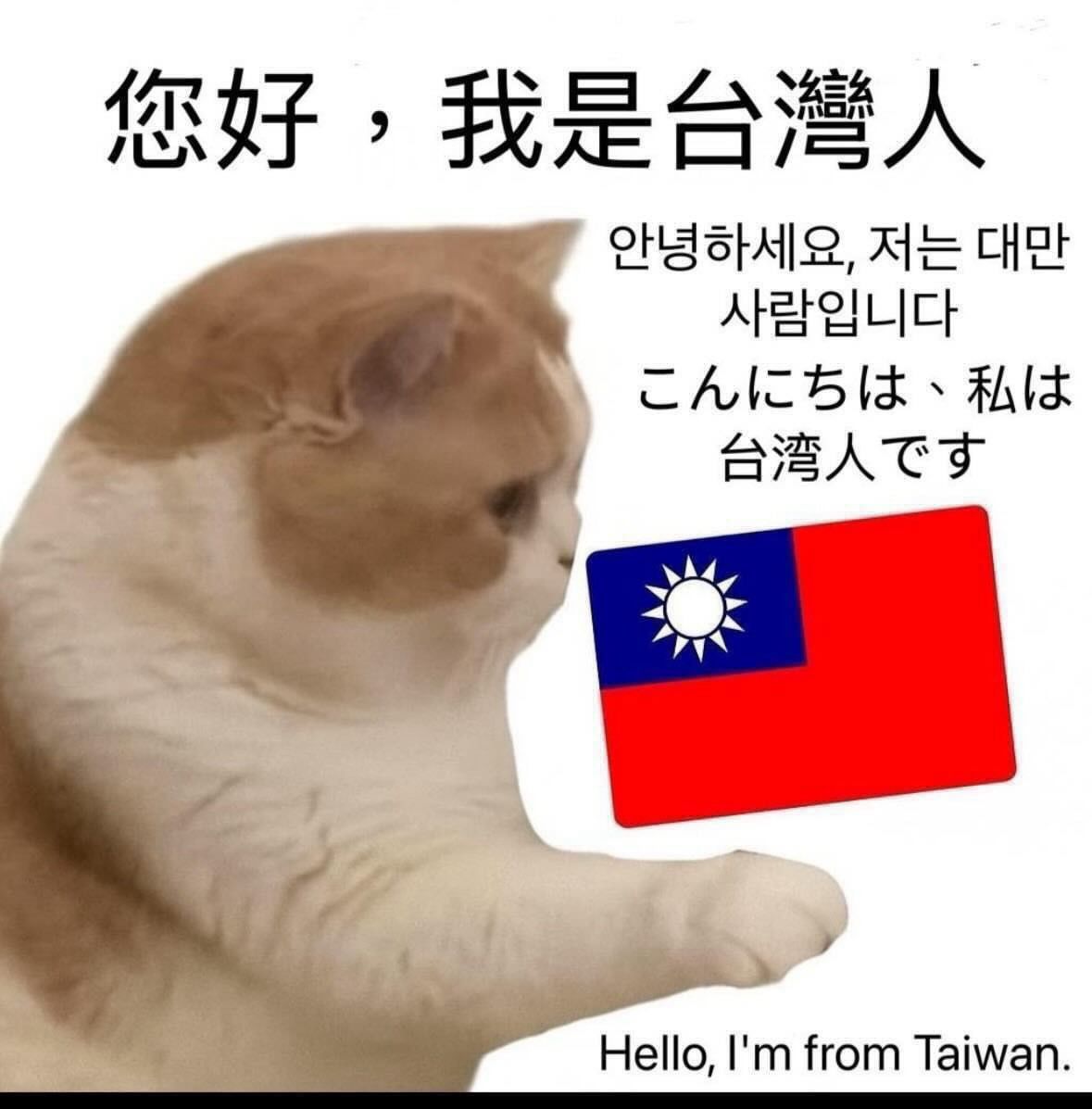 [問卦] 你好我是台灣人 台灣人喜歡你！
