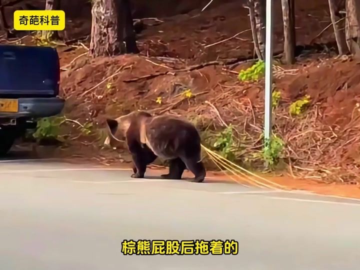 Re: [問卦] 生魚片大家還敢吃嗎 - 八卦 - PTT.BEST 批踢踢爆文