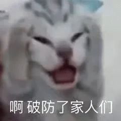 [官方] 去幫艾蓮掃墓的是約翰、米卡莎和他們子孫 - 希洽 - PTT.BEST 批踢踢爆文 2