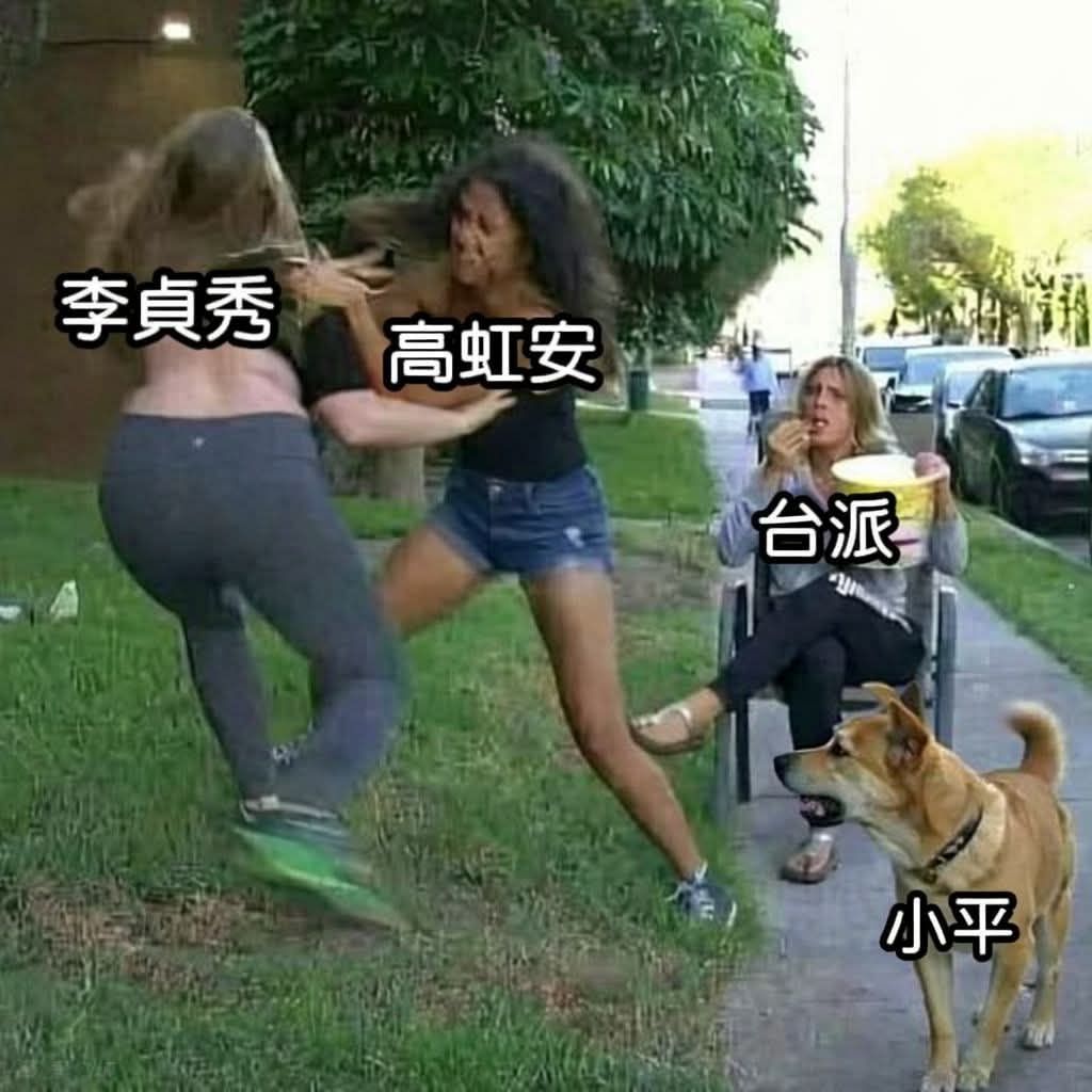 [討論] 民眾黨的人在急什麼 - 政黑 - PTT.BEST 批踢踢爆文 3