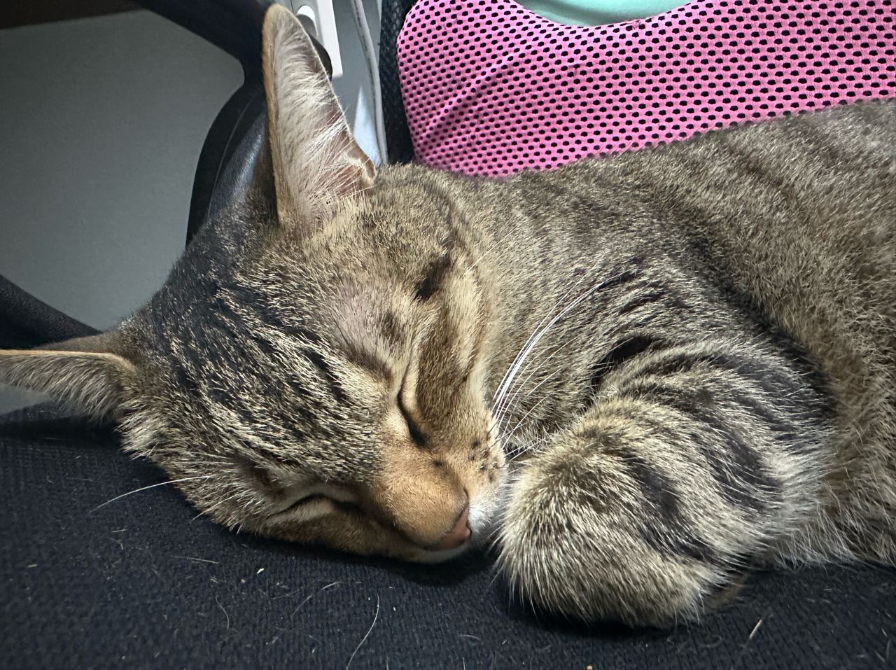 [發錢] 怎麼都在吵架沒人鼓勵球員？ - 棒球 - PTT.BEST 批踢踢爆文