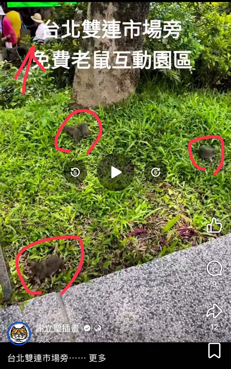 [討論] 台北人好猛 人鼠已經無感共存（圖） - 政黑 - PTT.BEST 批踢踢爆文