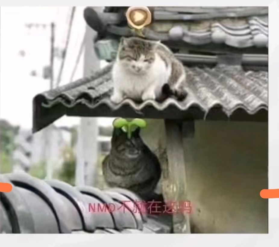 [閒聊] 終末地 武陵開場太讚了吧... - 希洽 - PTT.BEST 批踢踢爆文