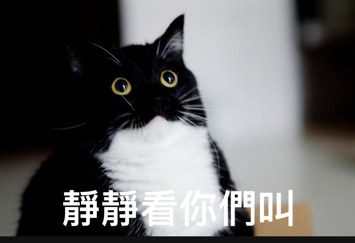[新聞] 台新新光金法說 談股利 總座林維俊有信心 - 股票 - PTT.BEST 批踢踢爆文