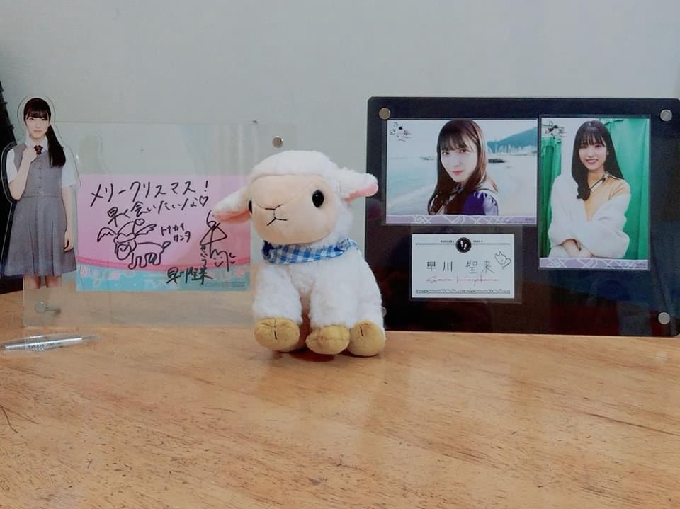 [乃木] 早川聖来生日快樂 - 坂道閒聊 - PTT.BEST 批踢踢爆文 2