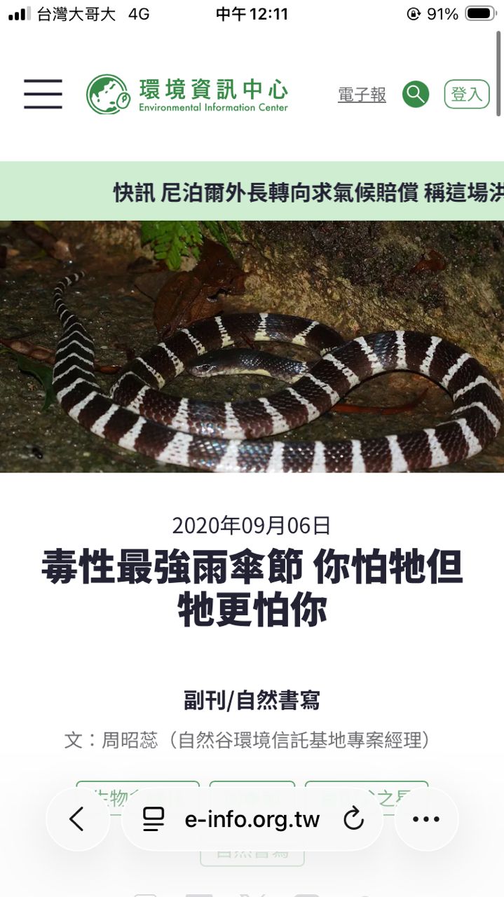 [問卦] 這是什麼蛇？ - 八卦 - PTT.BEST 批踢踢爆文 3