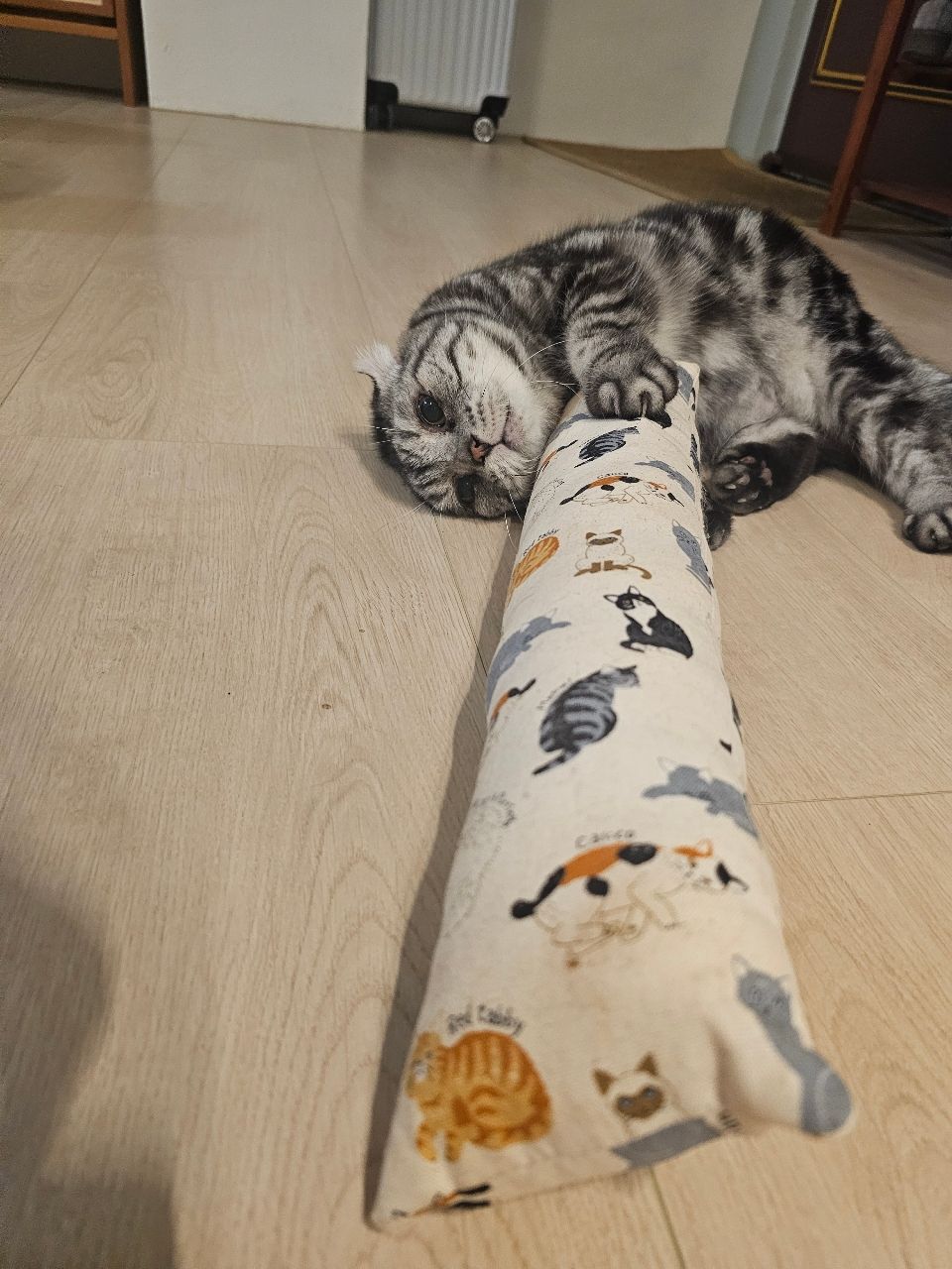 圖 拼多多的小平板好划算啊