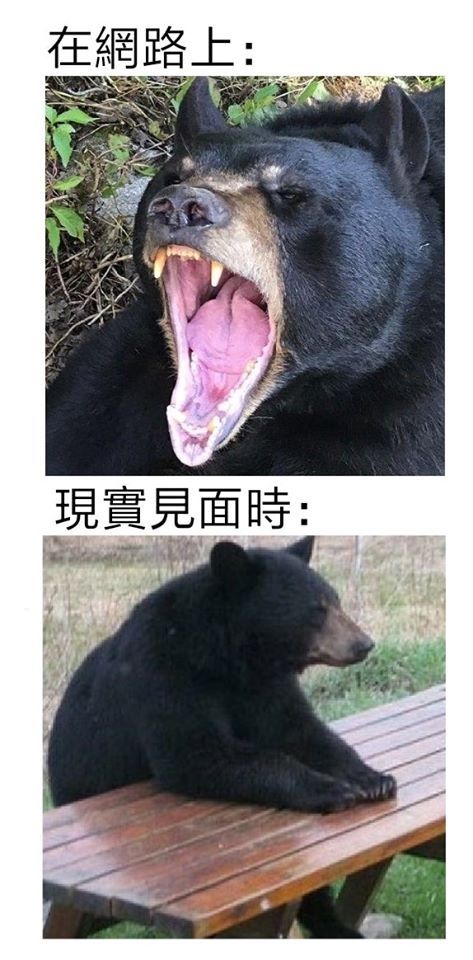 [花邊] KD:我不是來捲入推特上的那些無聊爭論的 - 美國職籃 - PTT.BEST 批踢踢爆文 2