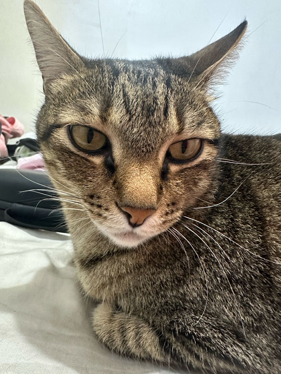 [問卦] 暗黑2大家都用誰來打 - 八卦 - PTT.BEST 批踢踢爆文 3