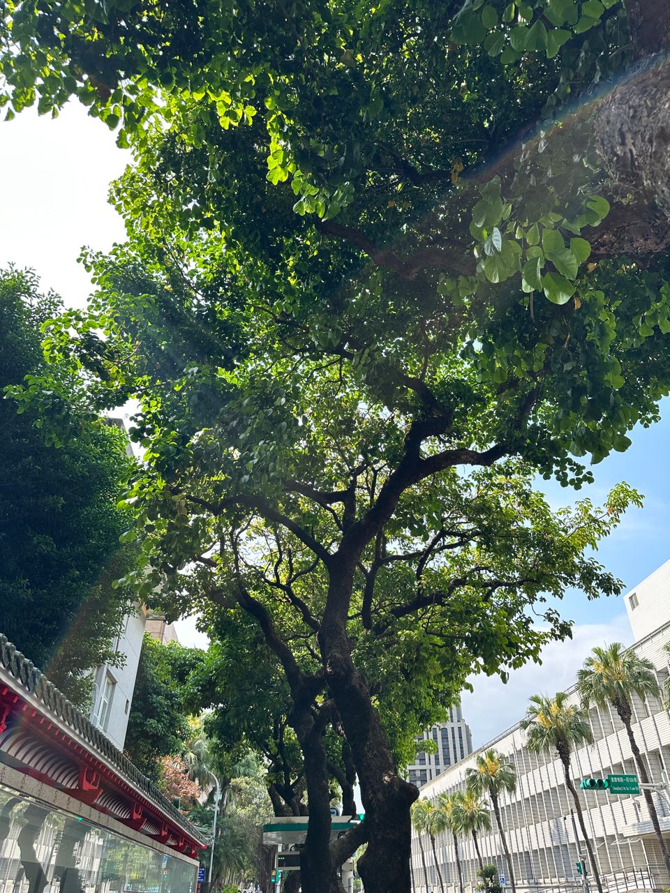 [討論] 我在現場，人比預期多！ - 政黑 - PTT.BEST 批踢踢爆文 2