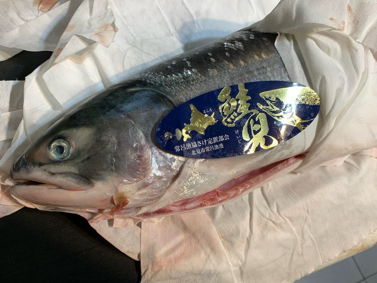 Re: [問卦] 生魚片大家還敢吃嗎 - 八卦 - PTT.BEST 批踢踢爆文 2
