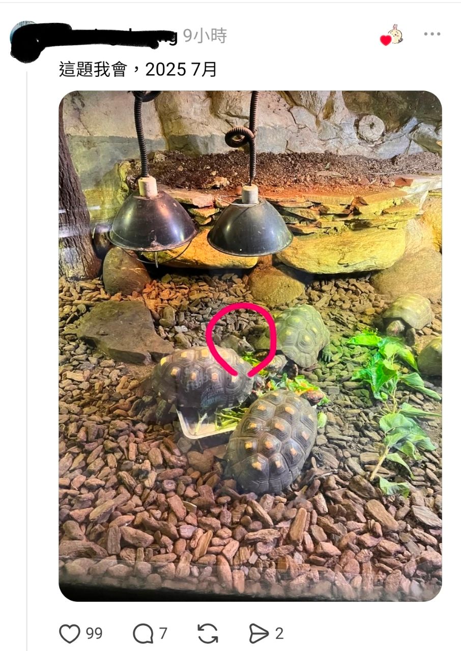 [新聞] 安鼠之亂升溫！鼠軍入侵台北市立動物園 - 政黑 - PTT.BEST 批踢踢爆文 3