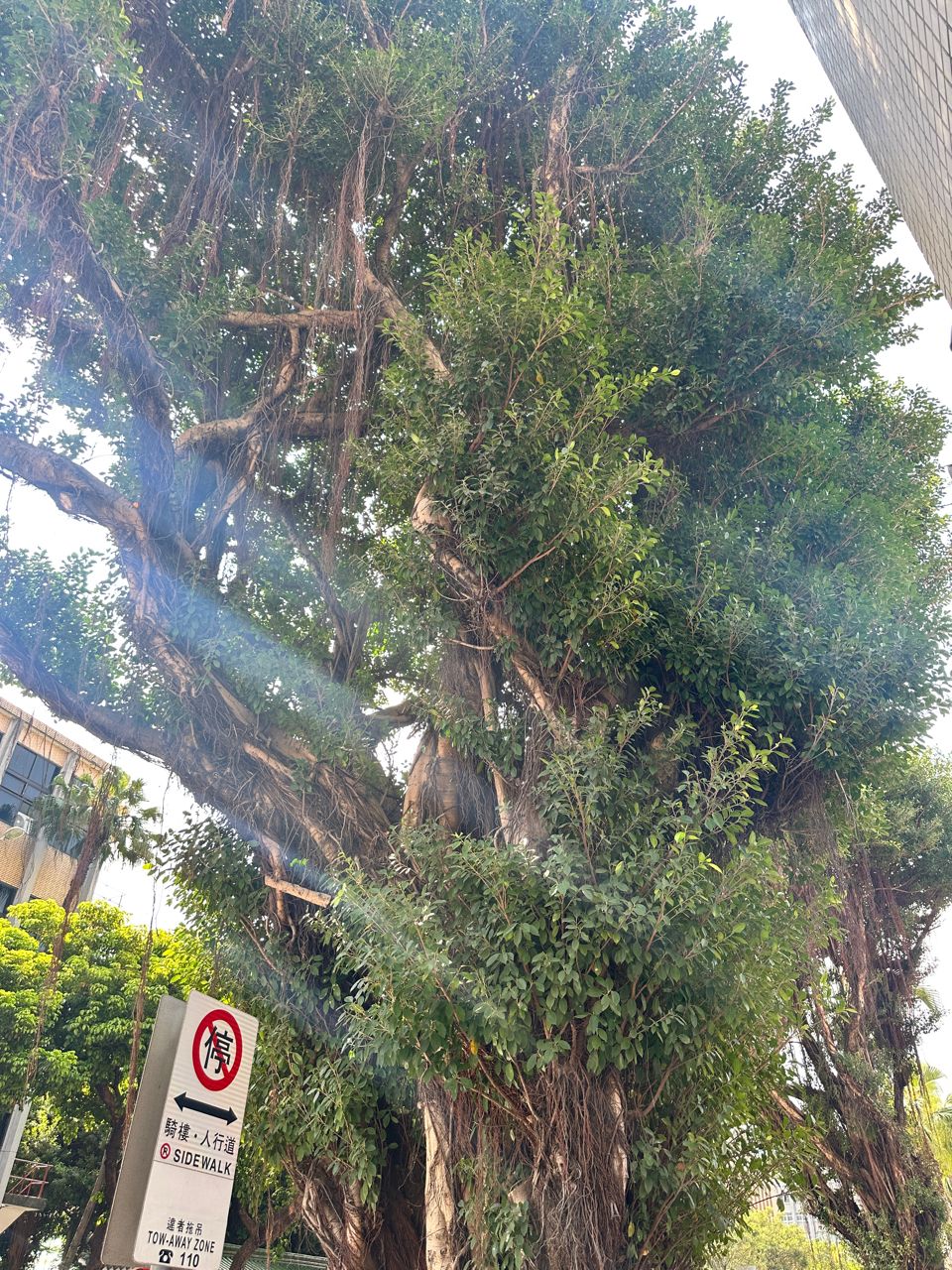 [討論] 我在現場，人比預期多！ - 政黑 - PTT.BEST 批踢踢爆文