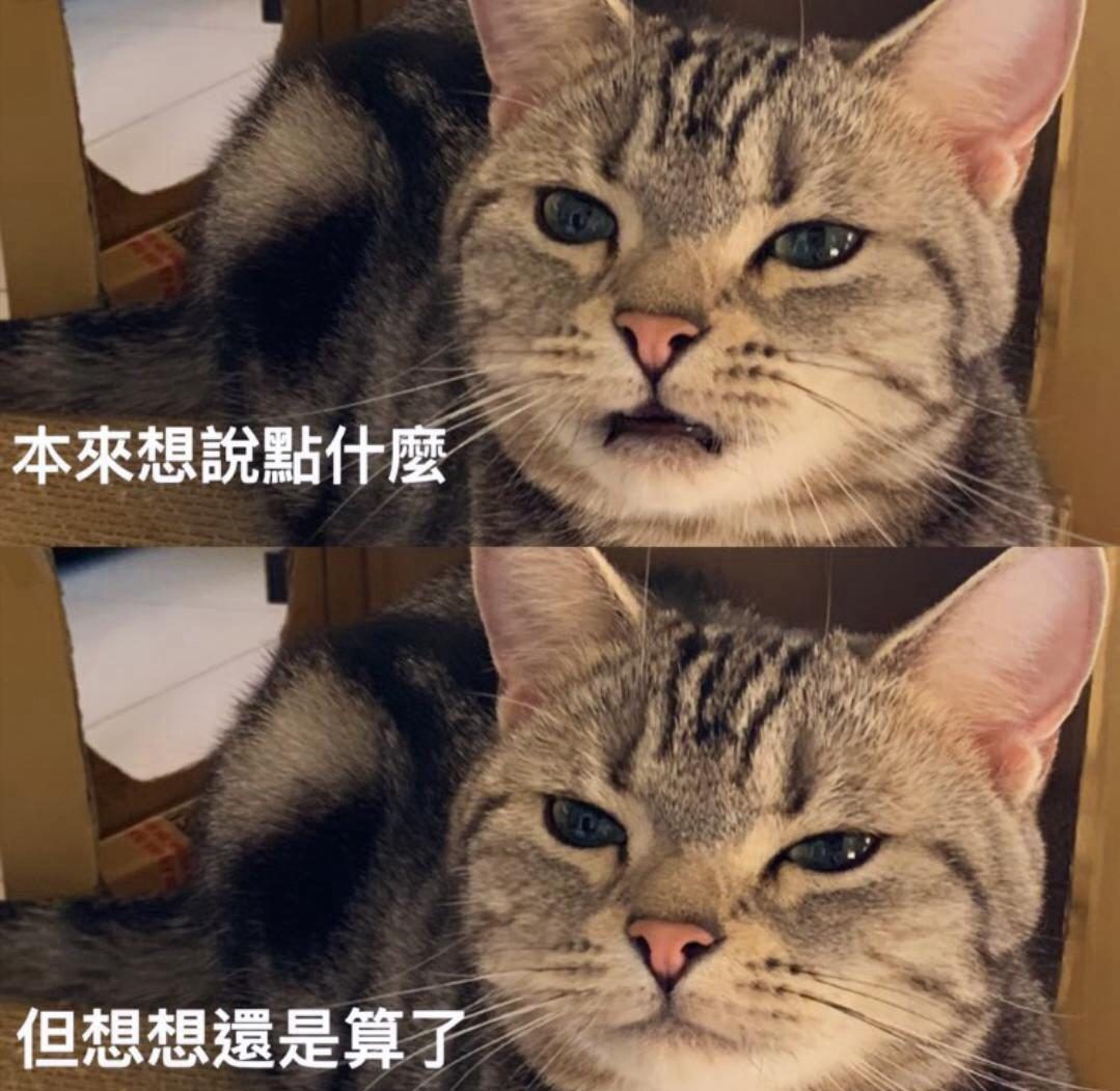[新聞] 千點大屠殺嚇壞股民！他恐慌一鍵畢業 單 - 股票 - PTT.BEST 批踢踢爆文