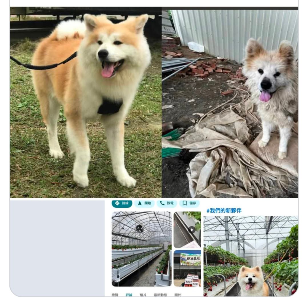 [問卦] 操！一早看到這種的就龜藍趴火= = - 八卦 - PTT.BEST 批踢踢爆文 2