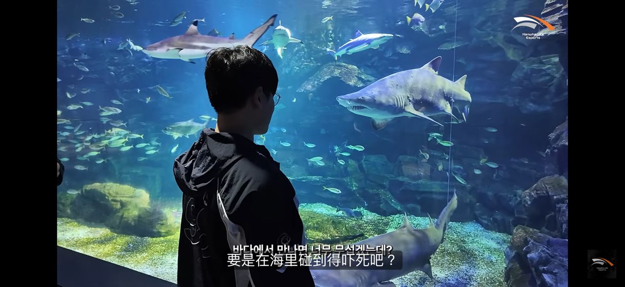 [閒聊] Guma：「信念是做一位問心無愧的人 - 英雄聯盟 - PTT.BEST 批踢踢爆文 2