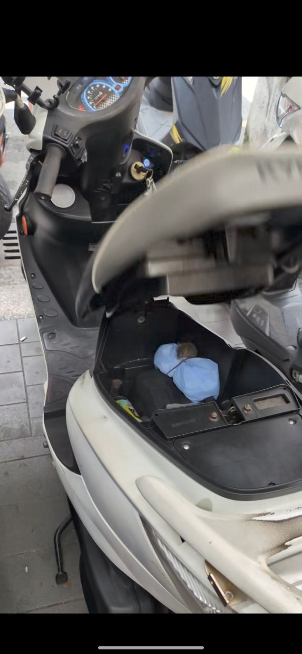 [問卦] 好奇問問 老鼠怎樣跑進摩托車箱？ - 八卦 - PTT.BEST 批踢踢爆文 3