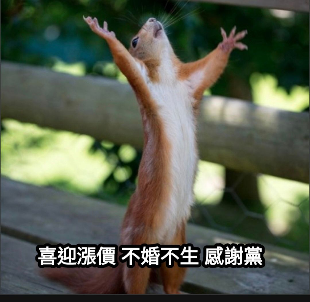 [新聞] 全台最大米商包裝袋告急 價格翻倍漲、供 - 八卦 - PTT.BEST 批踢踢爆文