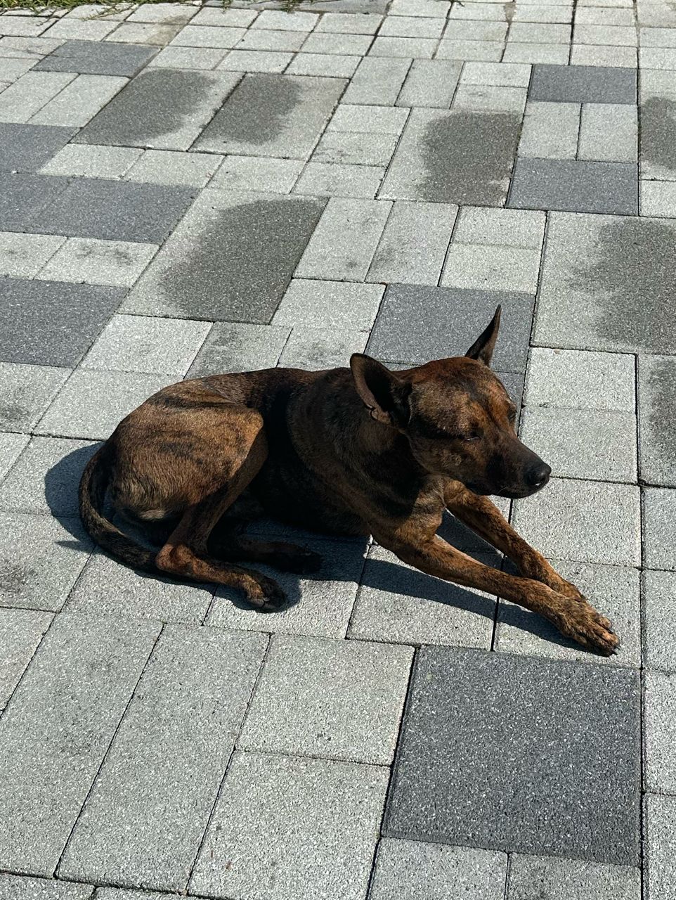 Re: [問卦] 最近台股很難賺，大家都是怎麼操作的？