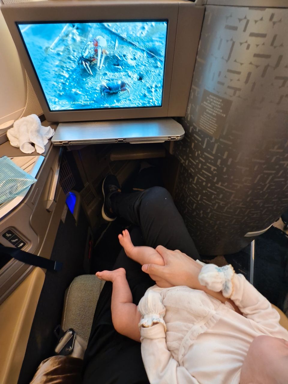 [新聞] 沒哭鬧也被噴！帶寶寶搭機遭批「自私」　 - 八卦 - PTT.BEST 批踢踢爆文