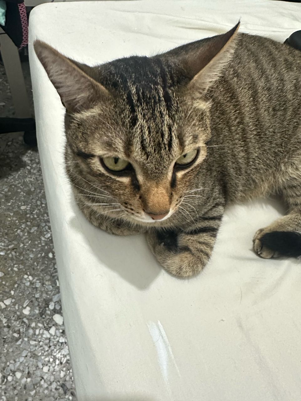 Re: [問卦] 原來被輾斃的外送員是比中指導致重心不穩 - 八卦 - PTT.BEST 批踢踢爆文 3