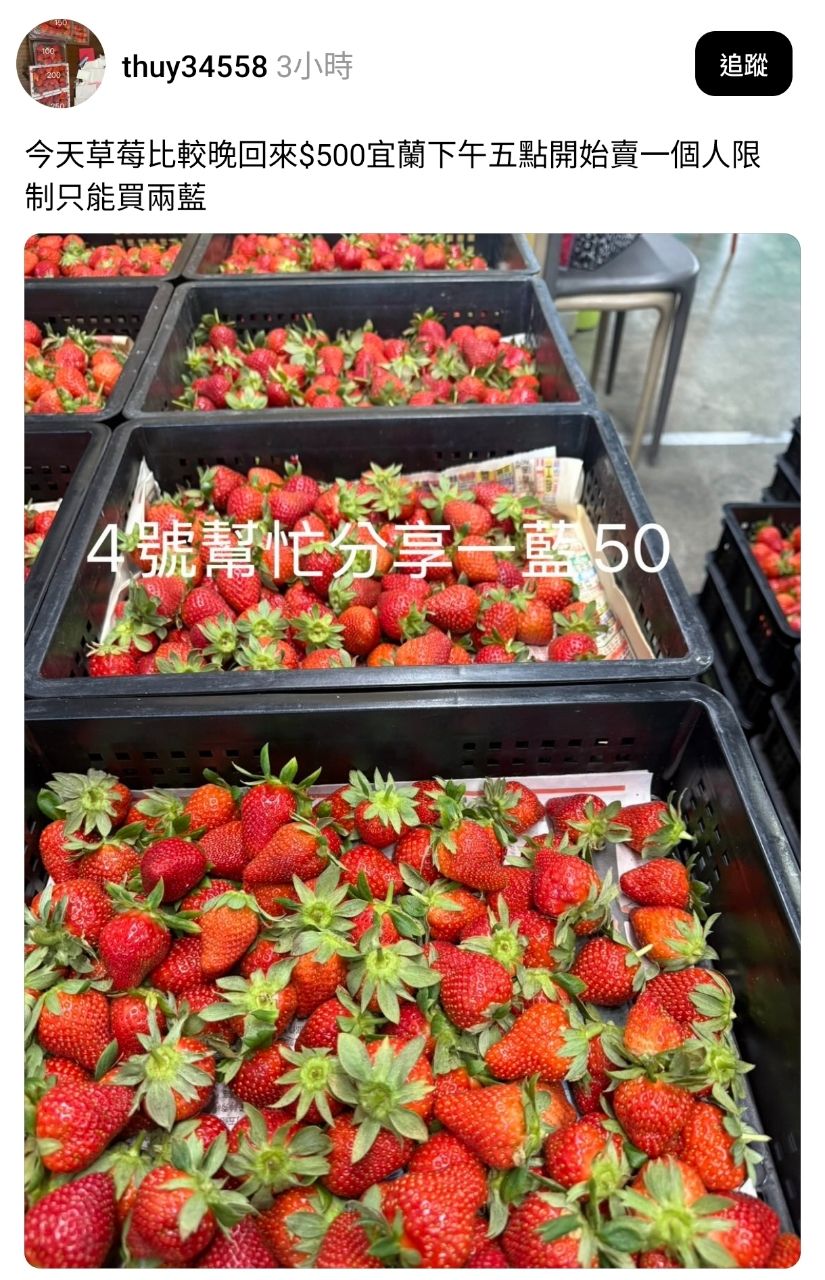 [情報] 台南四號草莓一籃50元 - 省錢 - PTT.BEST 批踢踢爆文
