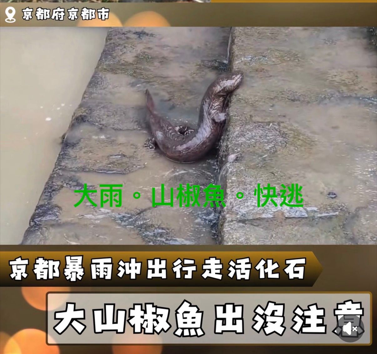 [新聞] 大摩報告：全球AI債務暴增357%，最大債主 - 股票 - PTT.BEST 批踢踢爆文 2