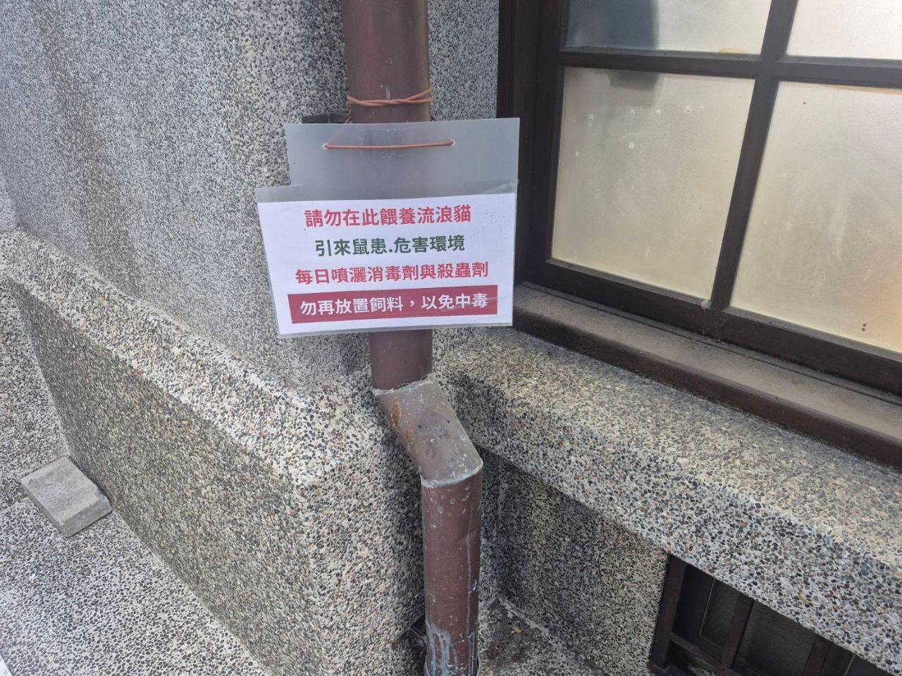 [問卦] 台南西門市場的老鼠能不能管一下啊 - 八卦 - PTT.BEST 批踢踢爆文 2