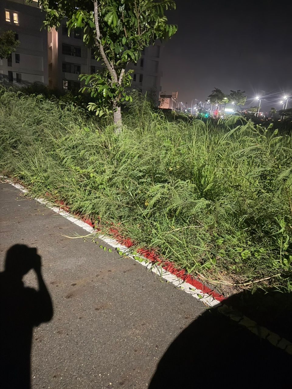 [問卦] 高雄市區人行道長這樣 你ok嗎 - 八卦 - PTT.BEST 批踢踢爆文 2