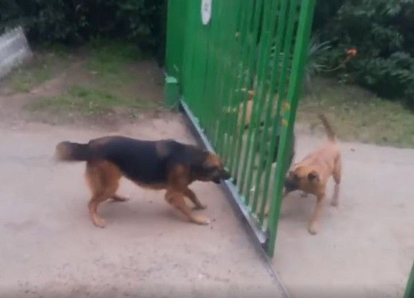 [新聞] 台海將無美軍快速反應部隊！紐時：美駐沖 - 八卦 - PTT.BEST 批踢踢爆文